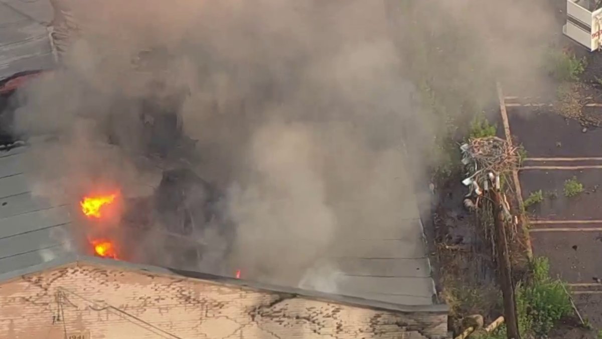 Fires Break Out at Historic NJ Site, Osprey’s Nest Put in Path of Smoke