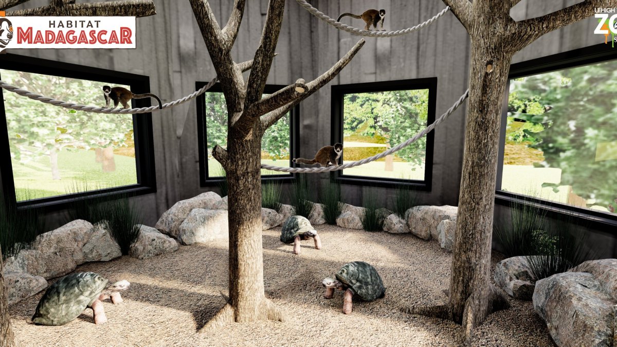 Building A Lemuristic Habitat For Beginners