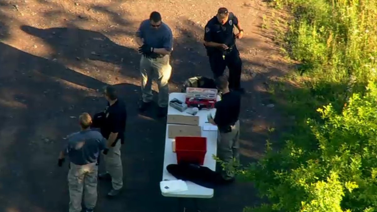 Bloodied Teen Brothers From NJ Accused of Killing Man in Bucks County