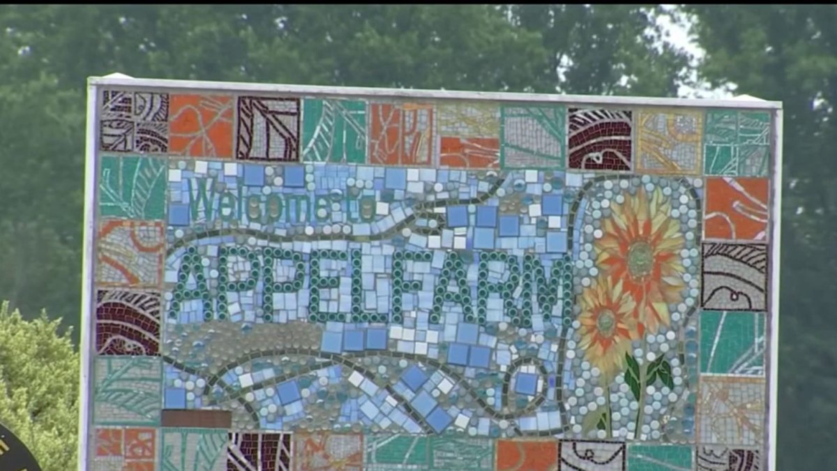 Appel Farm Camp in NJ Forced to Close Mid-Summer Due to Staff Shortage