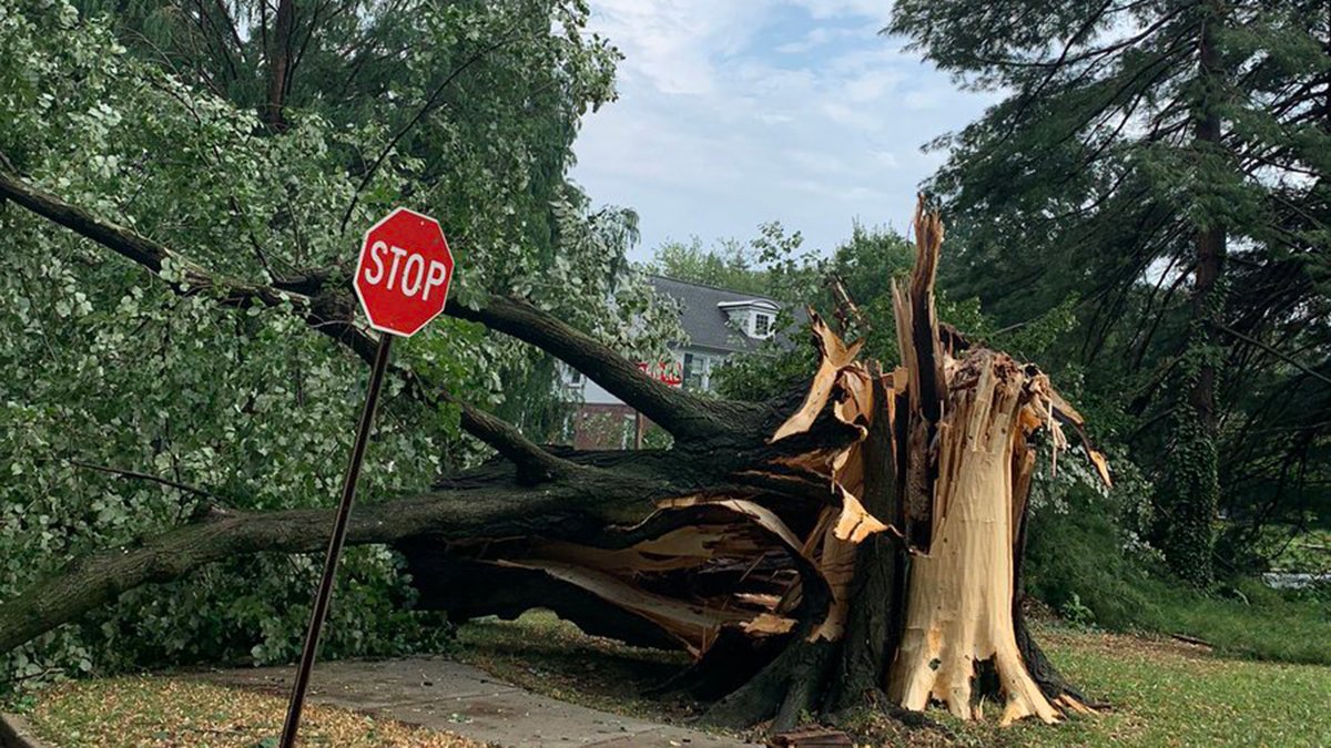 Severe Storms Bring Damaging Winds, Hail and Power Outages to Region ...