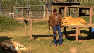 Joe Exotic Of Tiger King To Be Resentenced In Murder For Hire Case Nbc10 Philadelphia