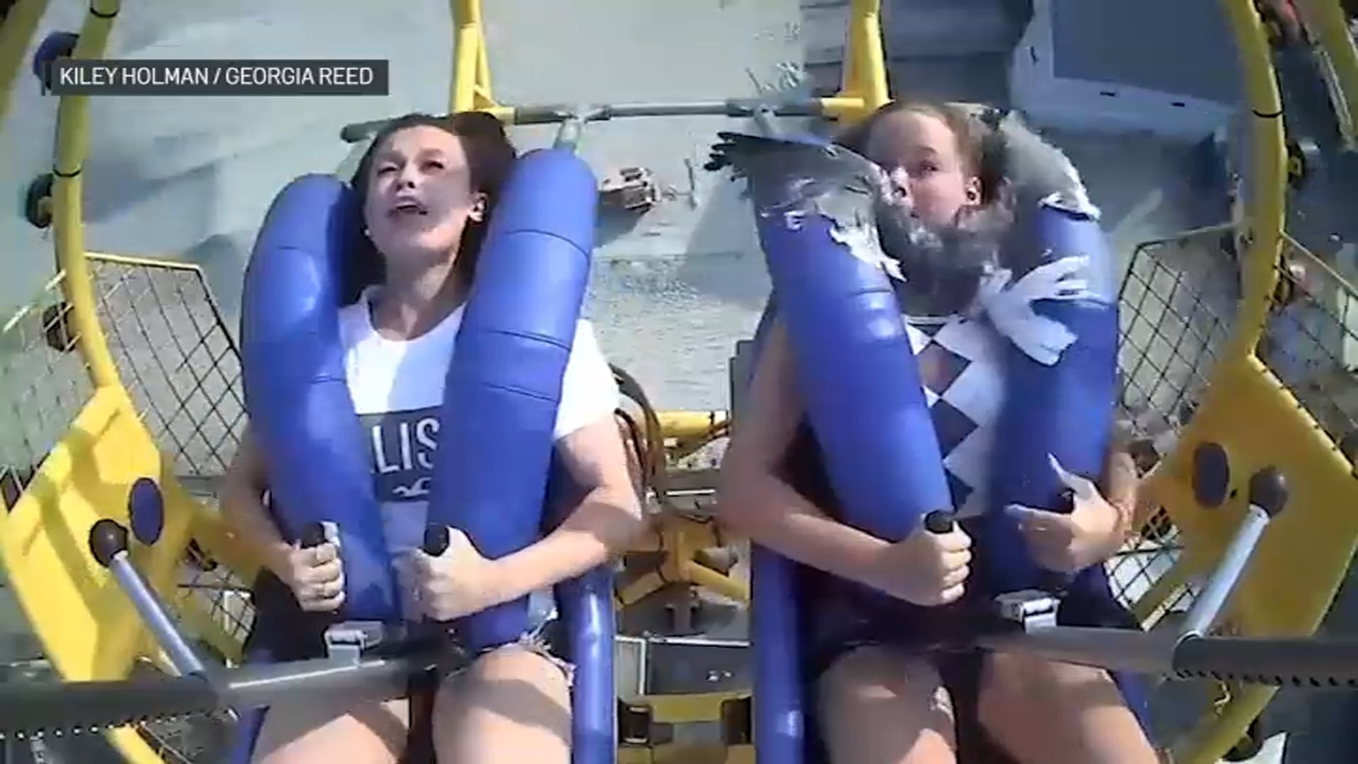 WATCH: Seagull Flies Into Teen's Face on Jersey Shore Amusement Park Ride - Vimarsana News