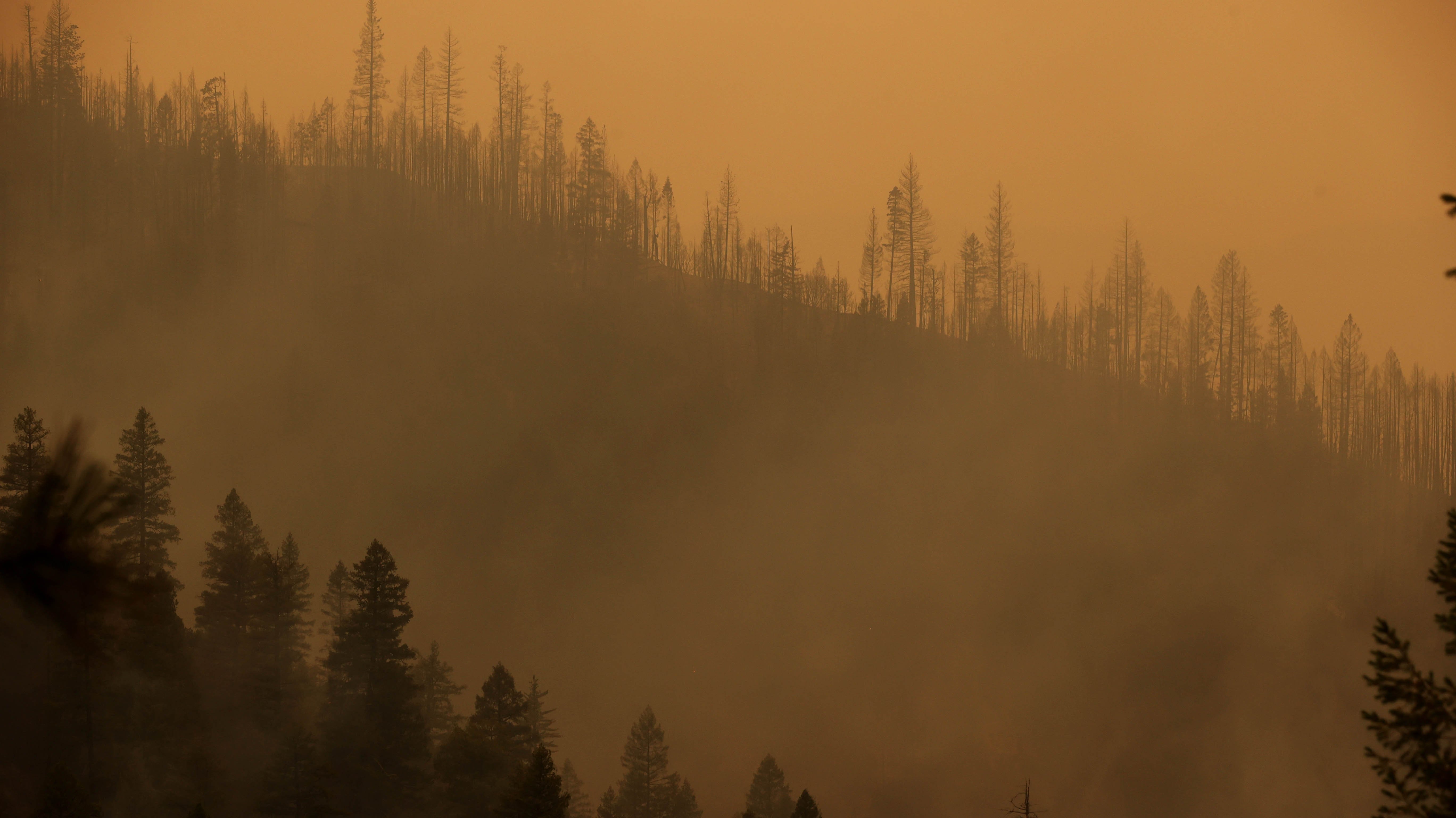 California Wildfire Grows as Heat Spikes Again Across State – NBC10 Philadelphia - Vimarsana News