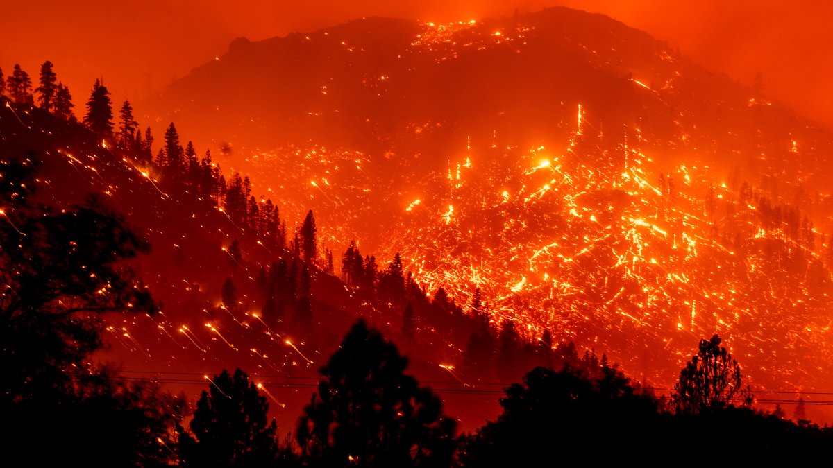 Calif. Wildfires Are Setting Records, and More Damage Is Expected – NBC10 Philadelphia - Vimarsana News