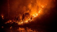 US Plans $50B Wildfire Fight Where Forests Meet Suburbia