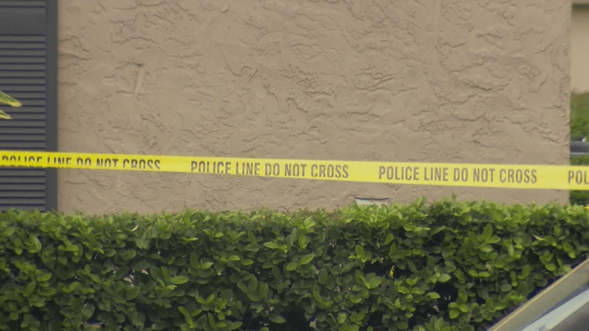 Mother Shot and Killed by Toddler While on Zoom Call – NBC10 Philadelphia