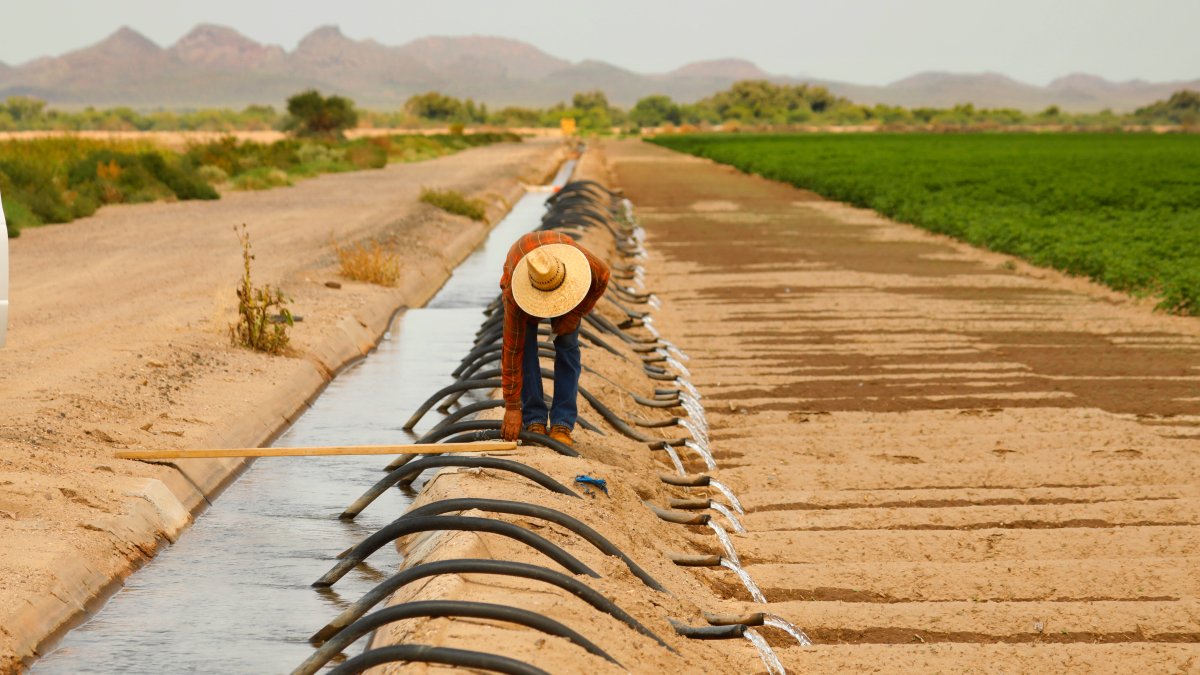 First Required Water Supply Cuts in US West to Hit Ariz. Farmers – NBC10 Philadelphia - Vimarsana News
