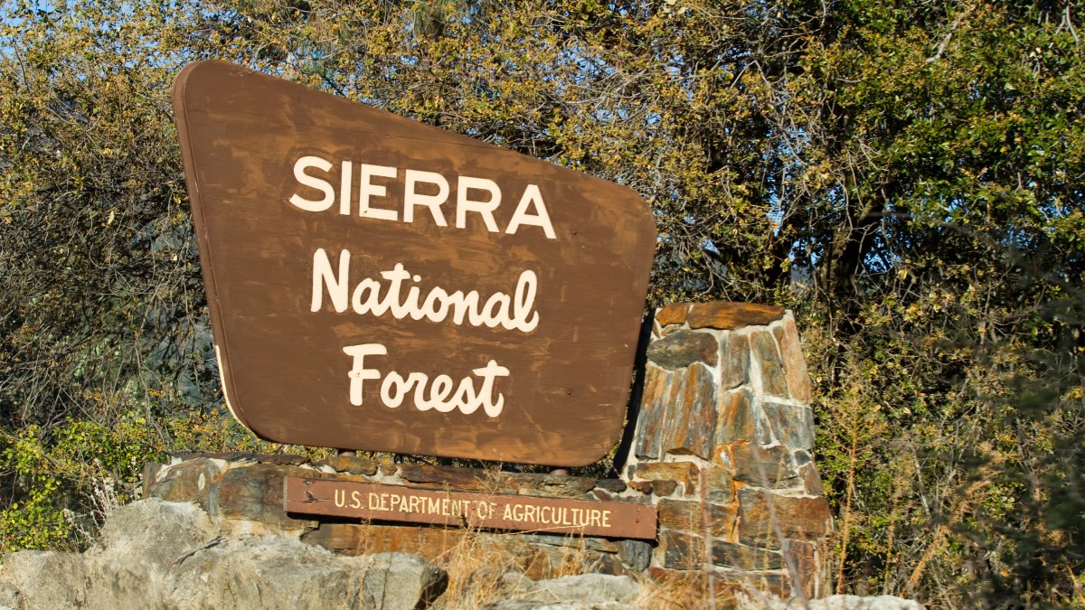 Mariposa Sheriff to Announce What Killed California Family on Hike – NBC10 Philadelphia - Vimarsana News