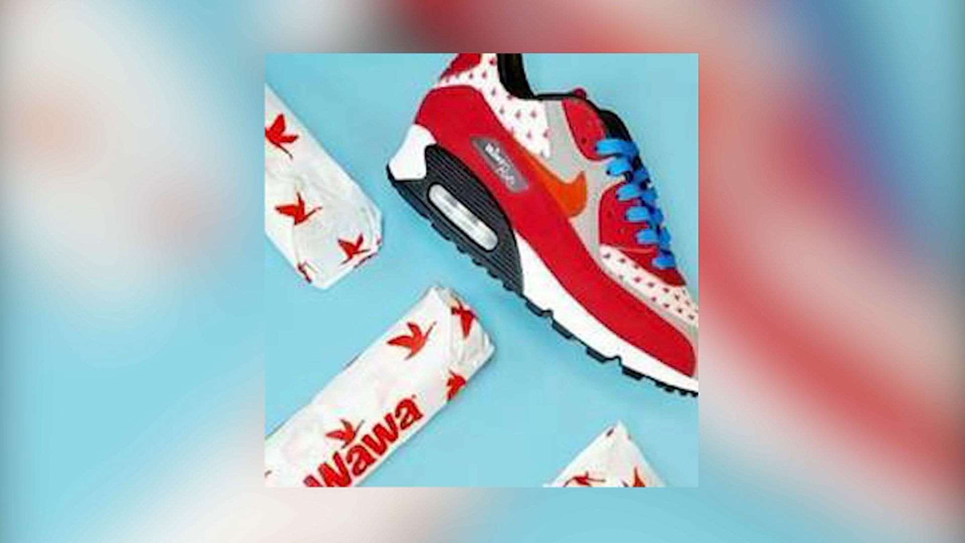 Wawa Has Custom Nike Air Max 90 Shoes: Here's How They Can Be Yours –  Footwear News