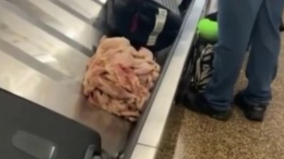 ‘Fowl Play': Raw Chicken Spins Around Baggage Carousel