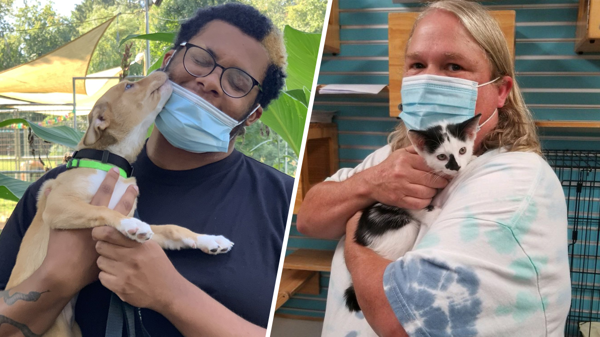 Thousands of Animals Adopted as We Clear the Shelters! NBC10 Philadelphia