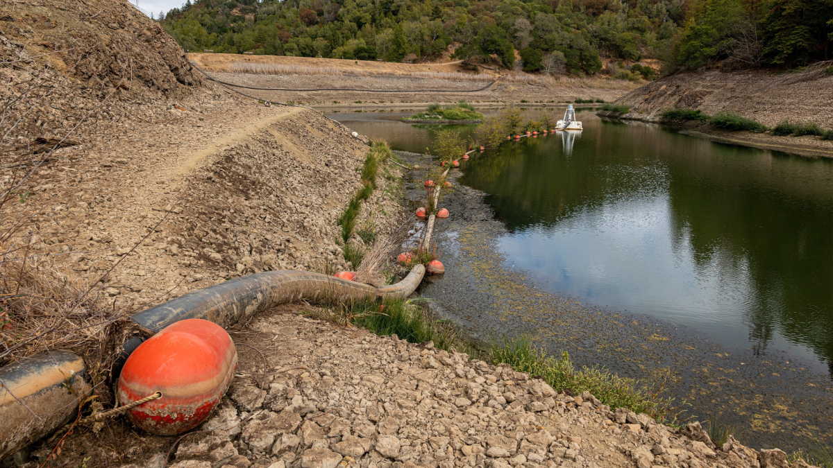 Climate Change Makes Drought Recovery Tougher – NBC10 Philadelphia - Vimarsana News