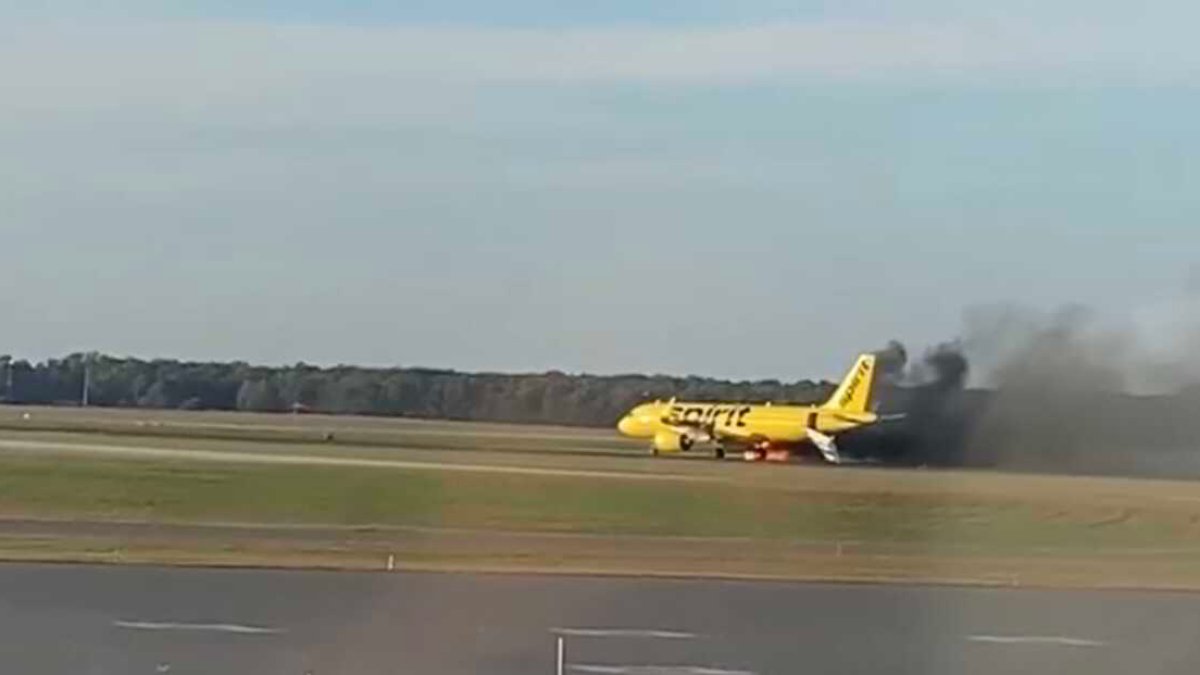 Plane’s Engine Catches Fire After Being Struck by Bird at AC Airport ...