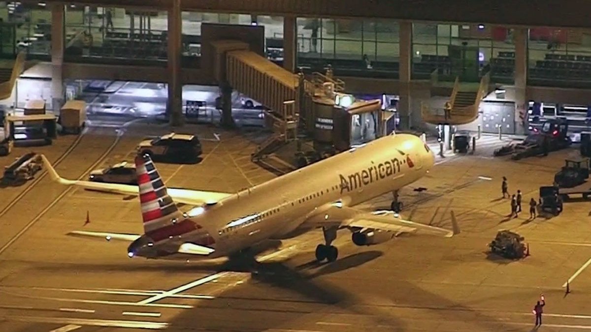 American Airlines Flight Diverted After Passenger Assaults Attendant