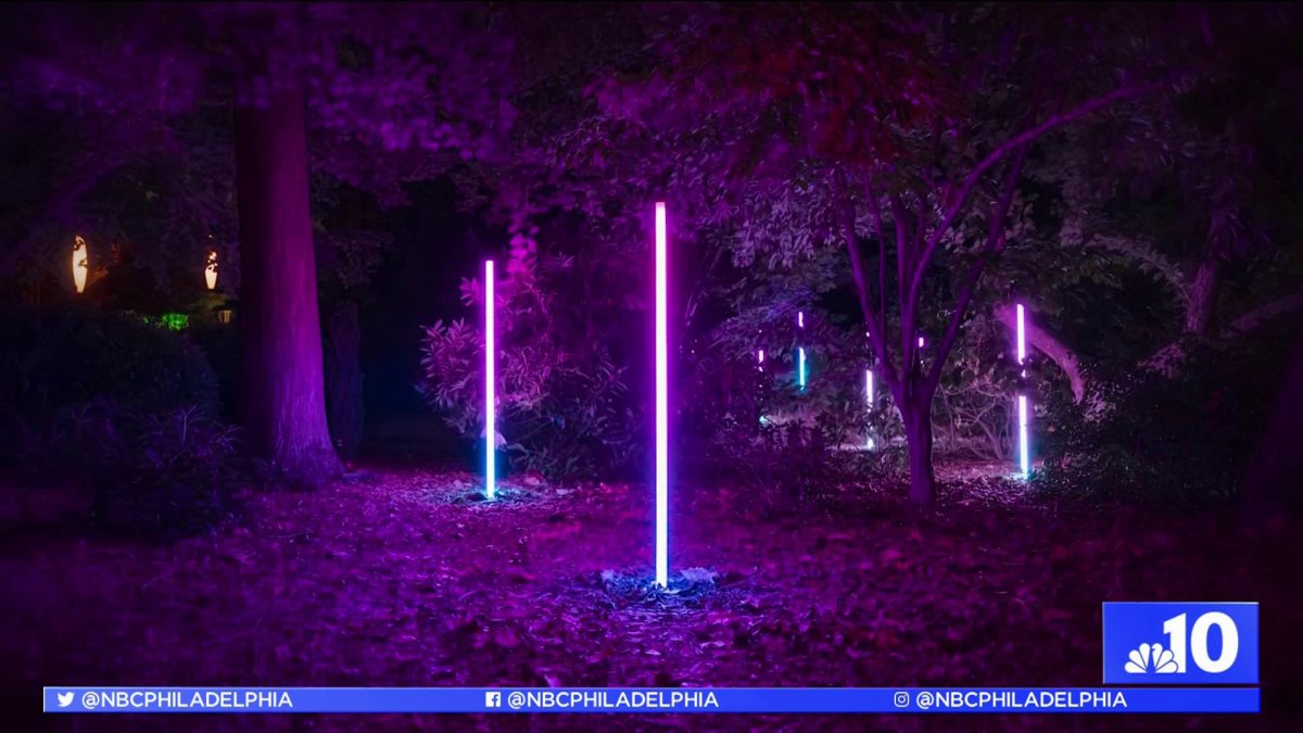 Bringing Art, Nature Together at Night at NJ’s Grounds for Sculpture