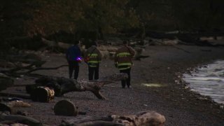 A dark image of rescuers searching a beach