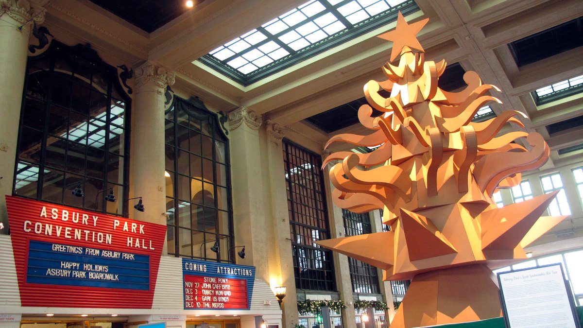 Oh! Christmas Tree? Cardboard Display Is Talk of New Jersey Town - Vimarsana News