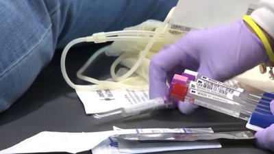 Red Cross Pushes for FDA to Allow All Gay Men to Donate Blood Amid Donation Shortage