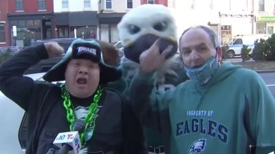 ‘Just a Fun Environment': Eagles Fans Ready for Playoffs