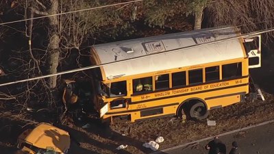 School Bus Crashes Into Wooded Area Off NJ Road