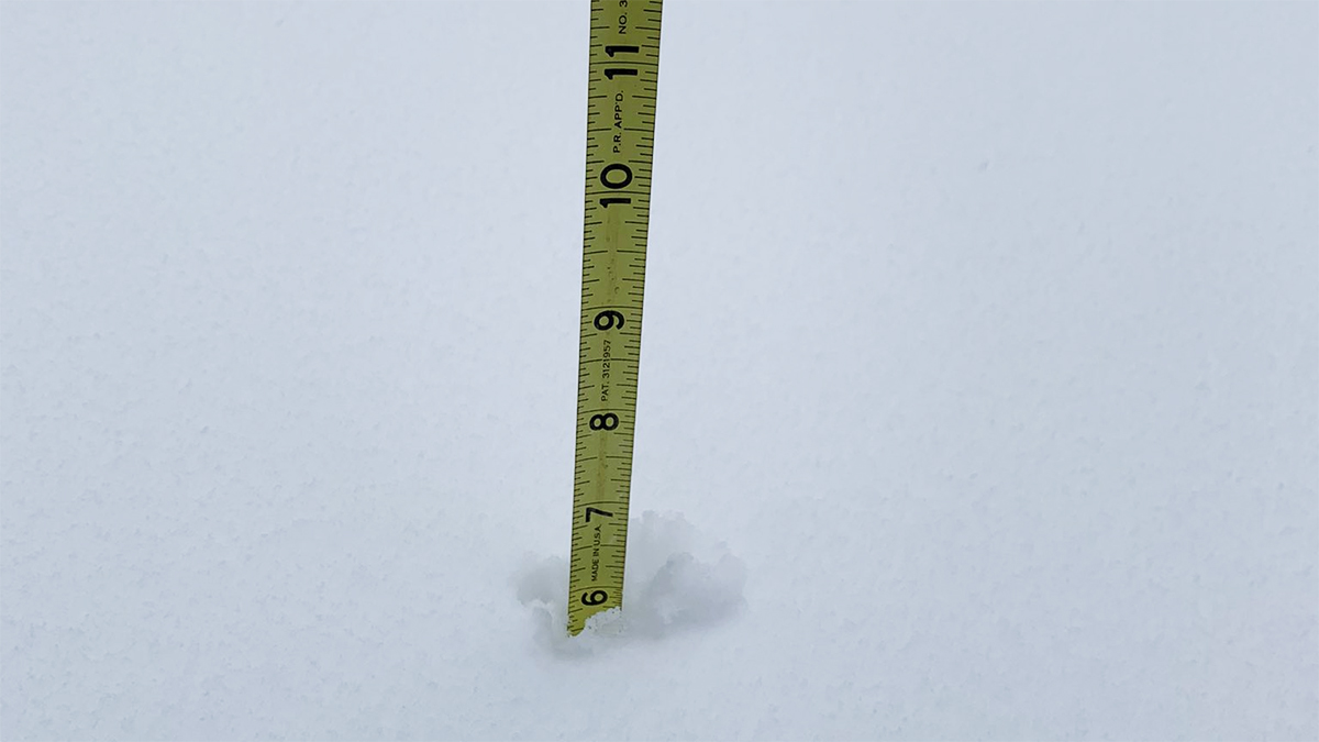 How Much Snow Did You Get? Latest Snow Totals NBC10 Philadelphia