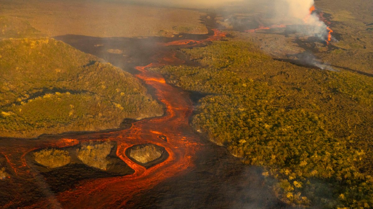 Tallest Galapagos Volcano Erupts, Spewing Lava, Ash - Vimarsana News