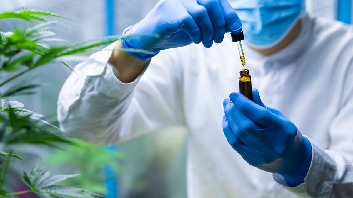 COVID-19 & Cannabis: Study Finds Hemp Compounds Prevent Coronavirus Infection – NBC10 Philadelphia - Vimarsana News