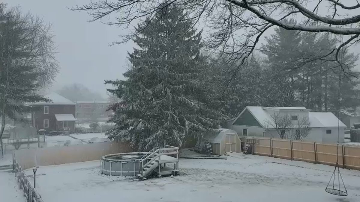 Pictures: Snow Blankets Philadelphia Region - Vimarsana News
