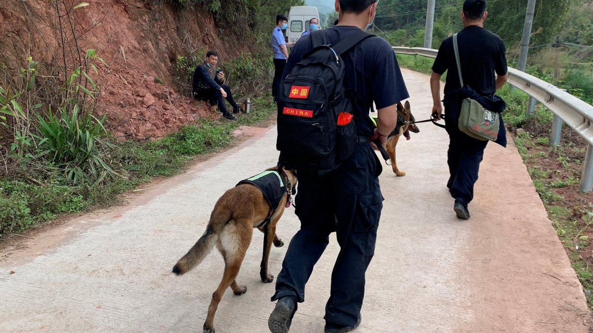 China Boeing 737 Plane Crash: No Survivors Found; Search for Black Box Continues - Vimarsana News