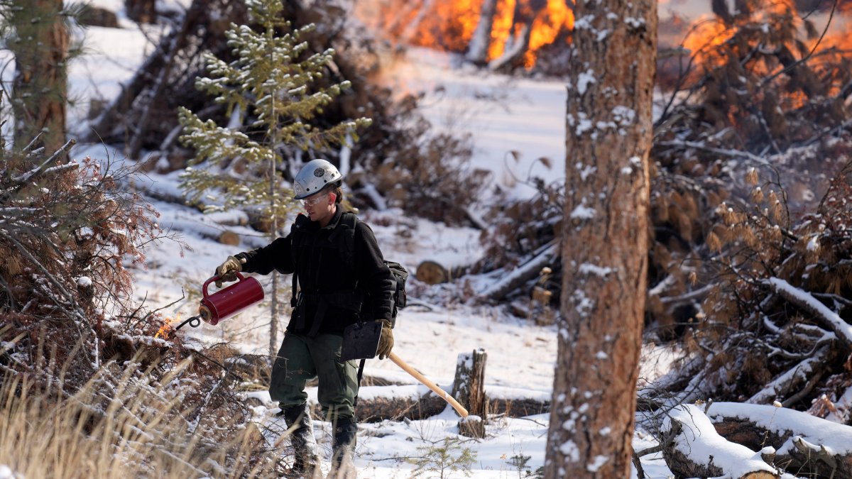 Changing Snowfall Makes It Harder to Fight Fire With Fire - Vimarsana News