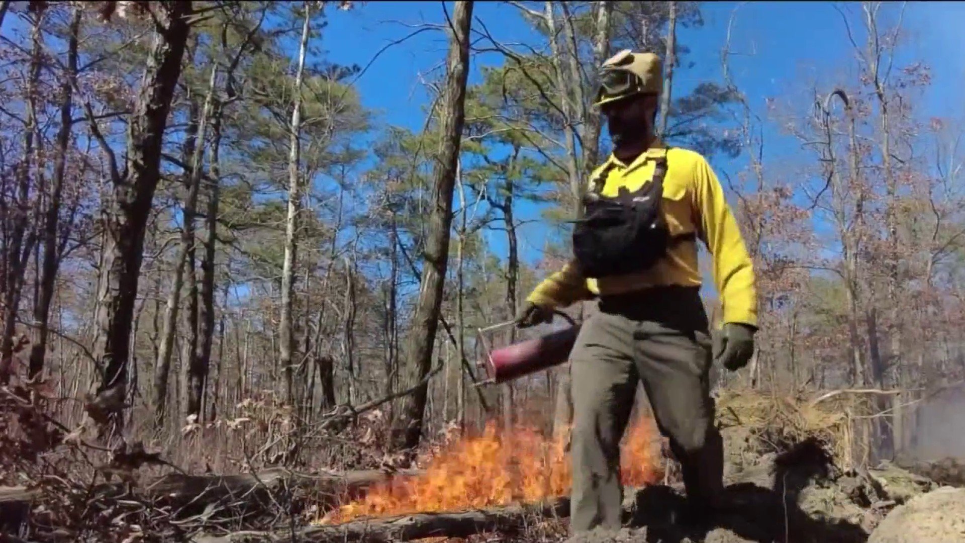 NJ wildfires: DEP updates on peak brush fire season and new tool – NBC10 Philadelphia - Vimarsana News