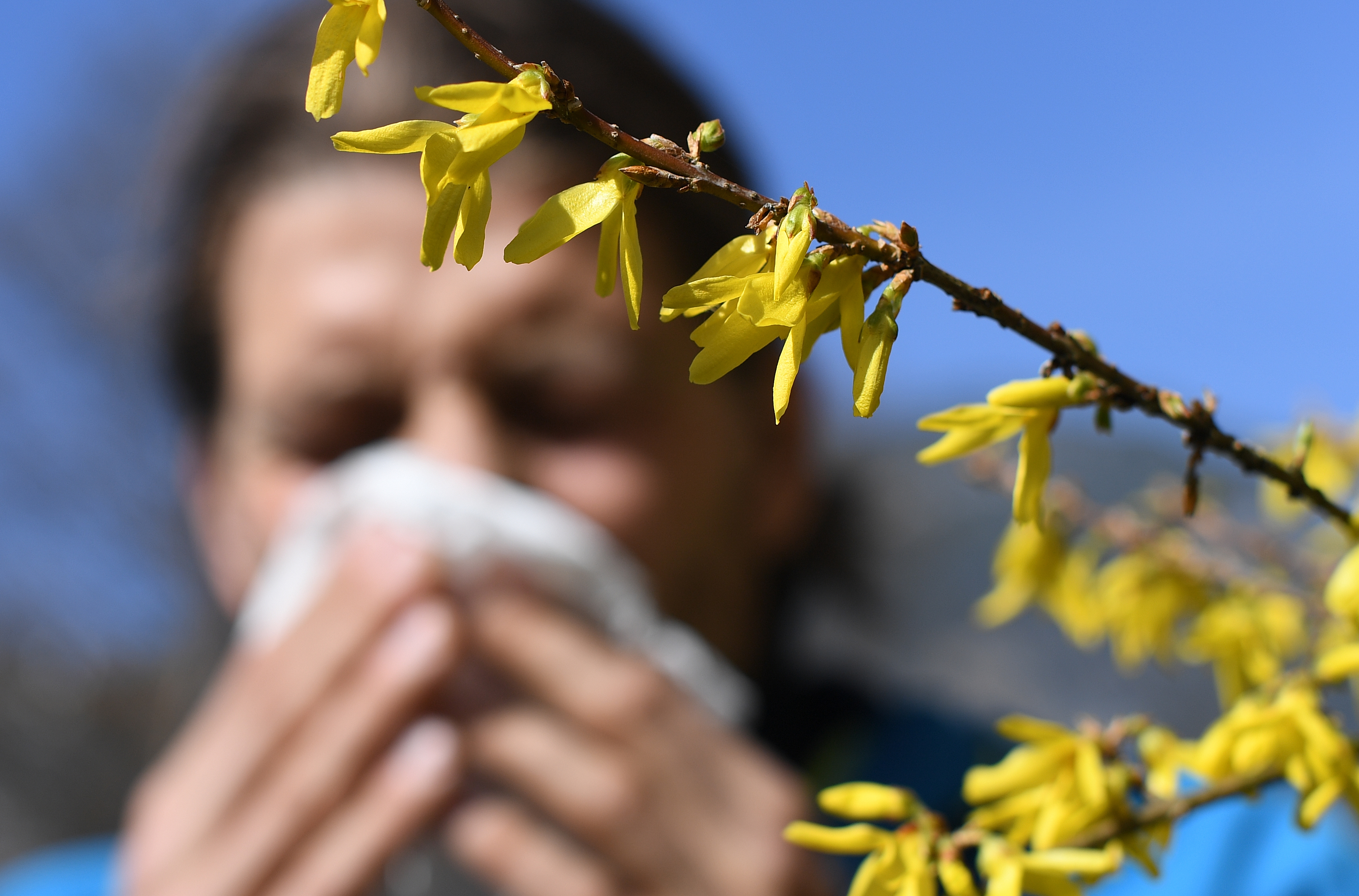 Why Do I get Allergies and How to Feel Better Faster – NBC10 Philadelphia - Vimarsana News