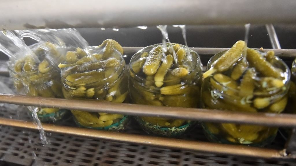 Central Florida Teacher Charged for Allegedly Biting Students Over Jar of Pickles – NBC10 Philadelphia - Vimarsana News