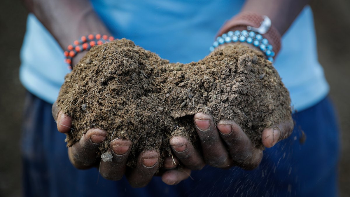 Russian War Worsens Fertilizer Crunch, Risking Food Supplies – NBC10 Philadelphia - Vimarsana News