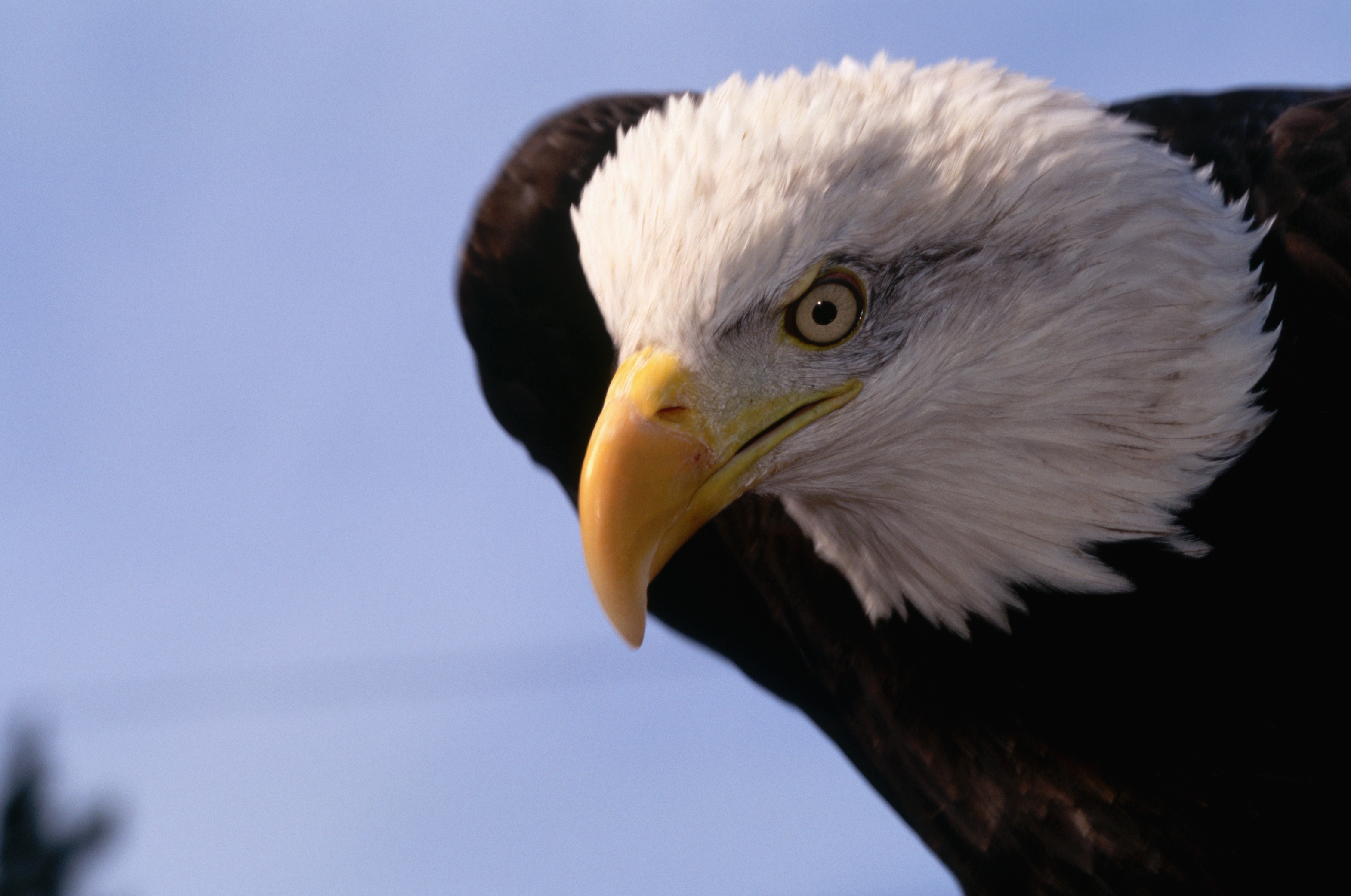Unplug, Enjoy Nature at John Heinz Wildlife Refuge During Wawa Welcome America Festival – NBC10 Philadelphia - Vimarsana News