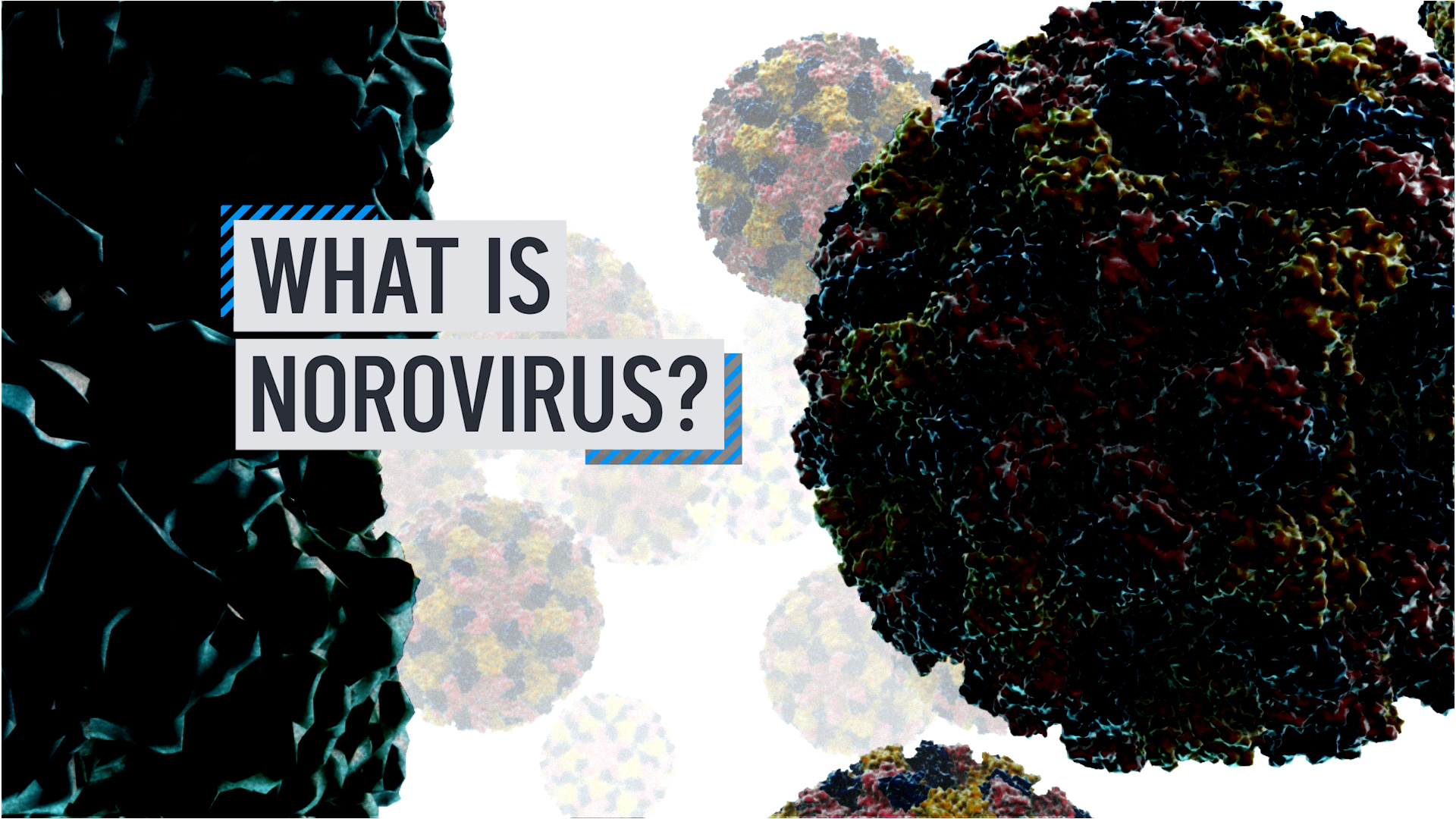 norovirus on glp 1 Norovirus cases driven by ultra-contagious variant are surging – NBC10  Philadelphia