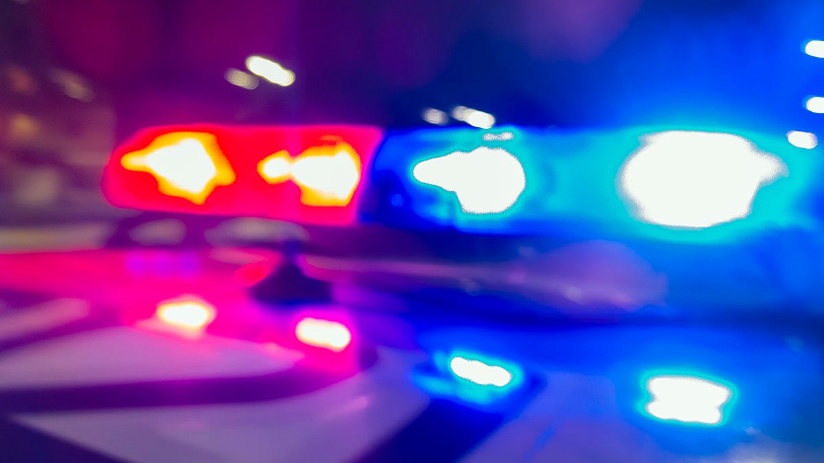 Man, 21, Arrested a Week After 3 Killed at Georgia Gun Range - Vimarsana News