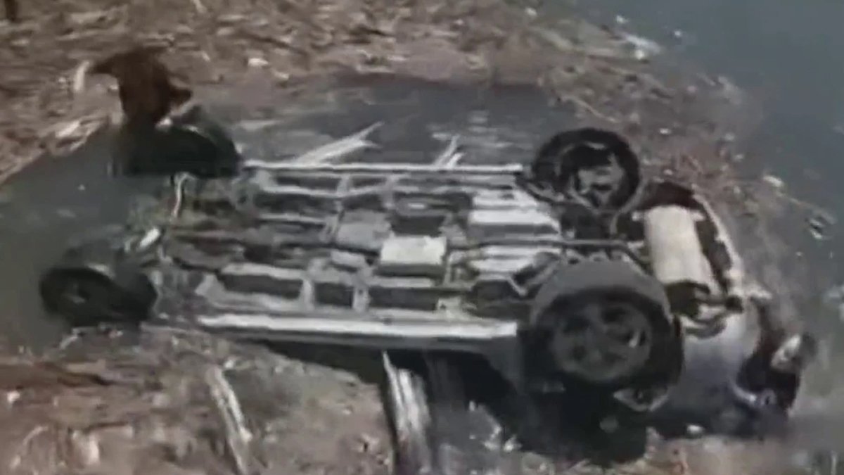 Watch: NJ Officers Rescue Woman Trapped in Submerged Car - Vimarsana News