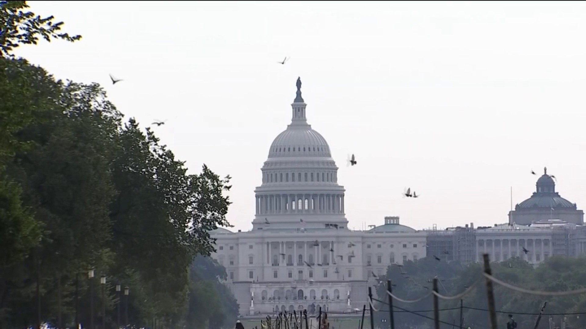 How The Gun Control Debate Impacts The Mid Term Elections NBC10   16539895051 1080pnbcstations 