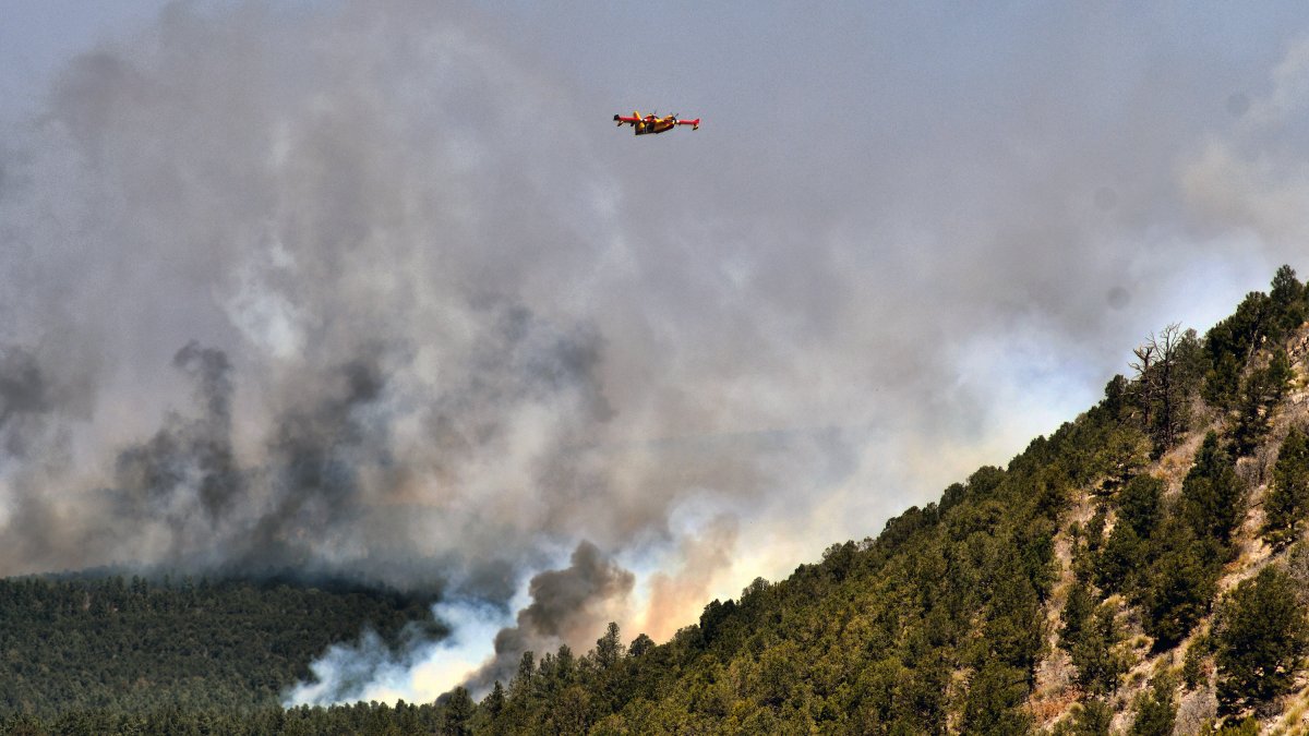 Biden Declares Disaster in New Mexico for Largest Wildfire in US – NBC10 Philadelphia - Vimarsana News
