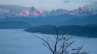 FILE – Birds sit on tree branches in front of a mountain range near Pokhara, Nepal, Saturday, Jan. 1, 2022.