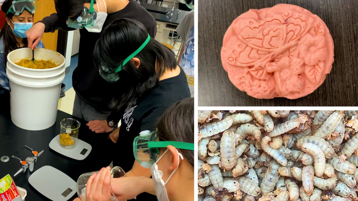 Climate Change: NJ Students Win National Competition Combating Food Waste – NBC10 Philadelphia - Vimarsana News