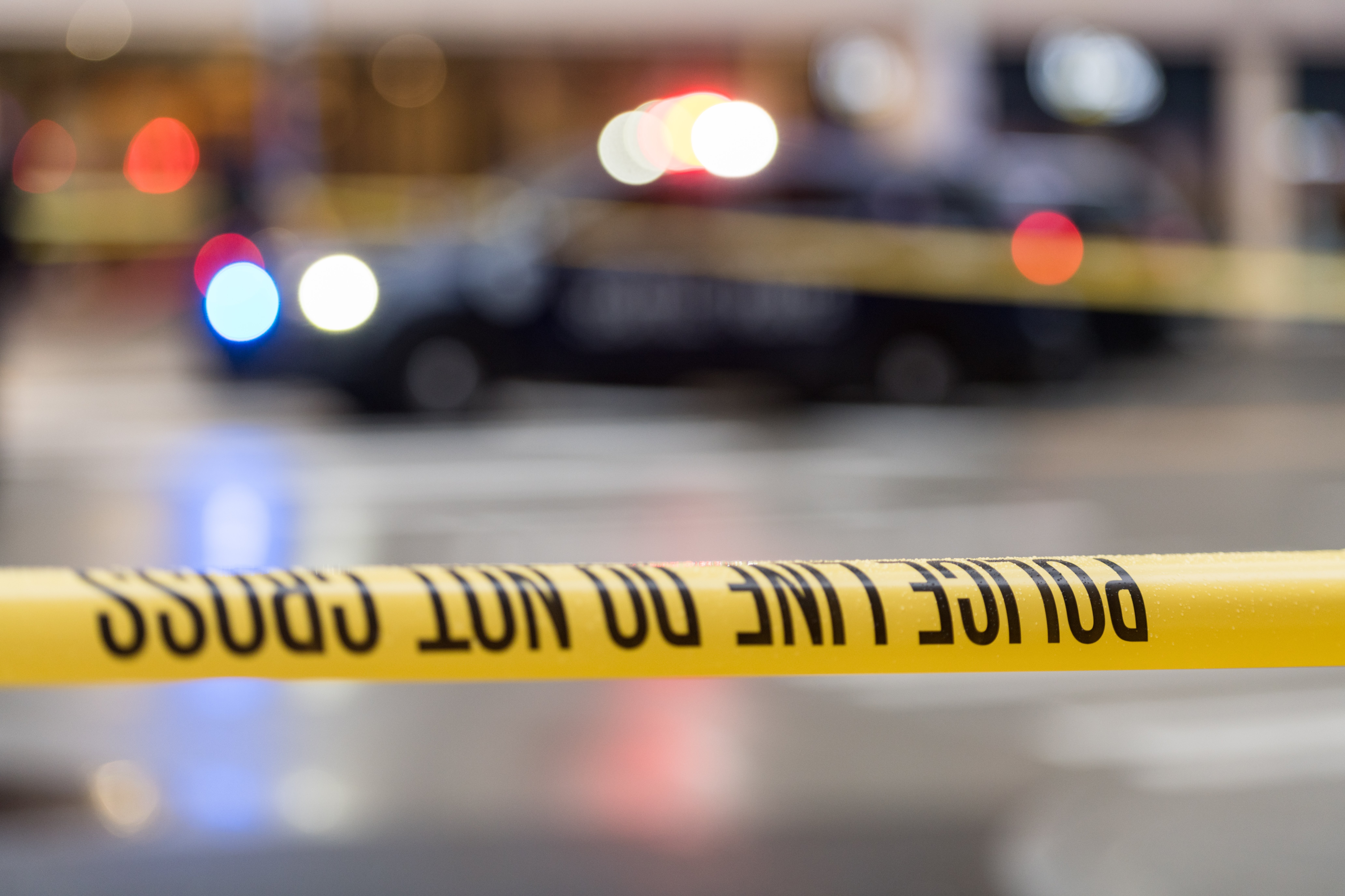 Detroit couple charged in death of man mauled by their dogs – NBC10 Philadelphia - Vimarsana News