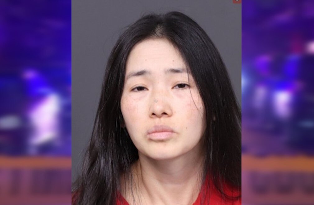 Trinh Nguyen Charged with Sons’ Murders Planned Killings for Week ...