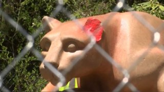 Penn State's Nittany Lion statue vandalized with red paint.