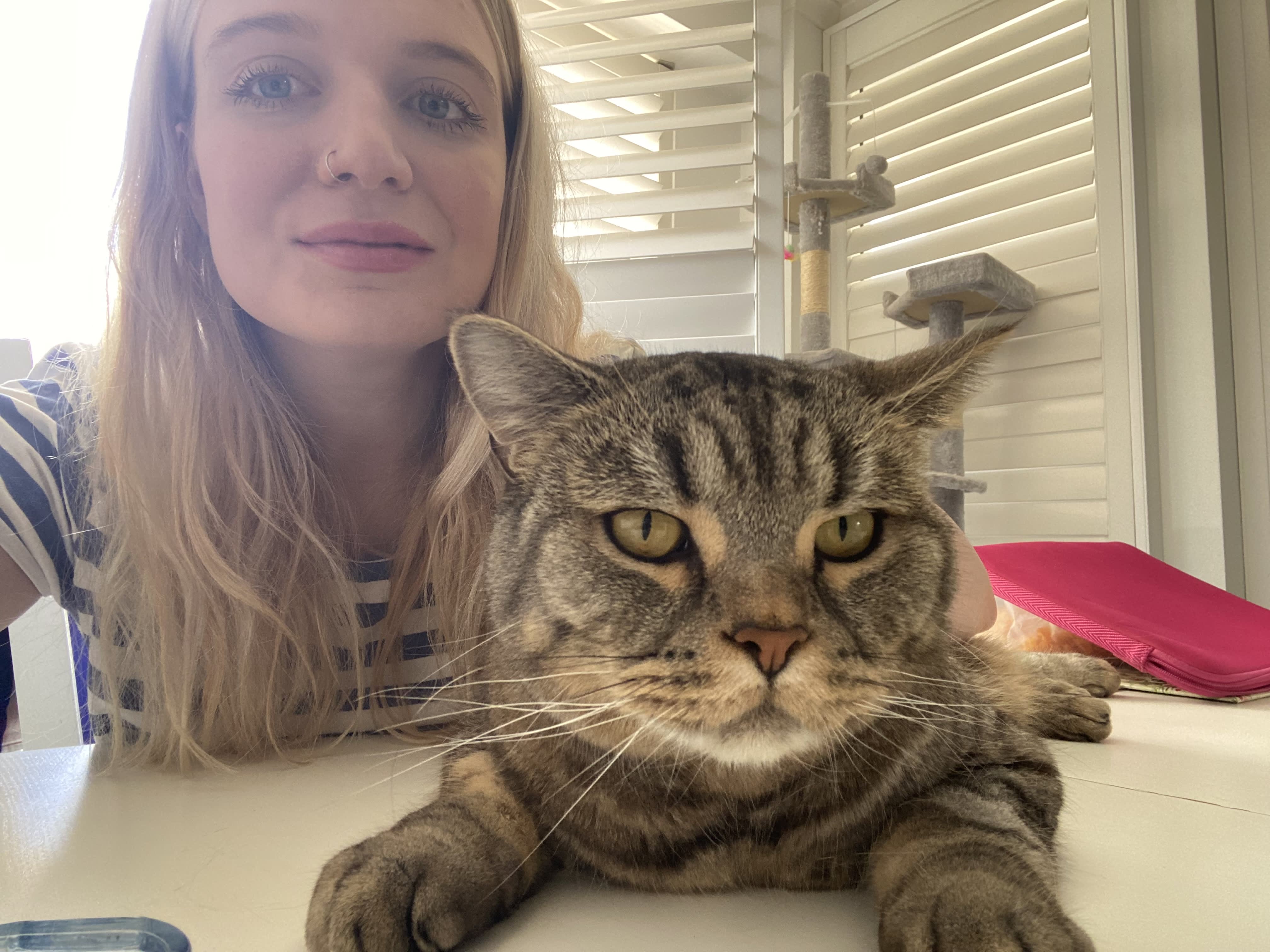 This 32-Year-Old Australian Woman Has Saved $28,000 on Travel by Cat-Sitting Around the World—Here's How - Vimarsana News