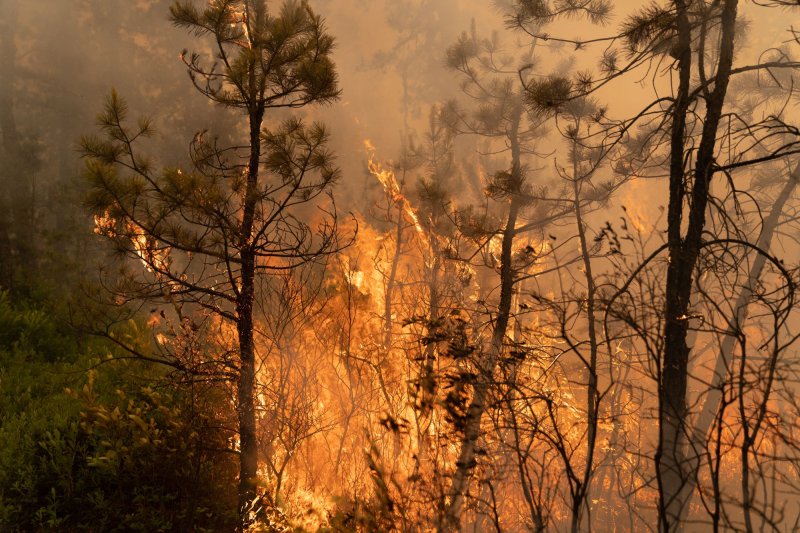 Photos: Massive NJ Wildfire is State's 2nd Largest Since 2007