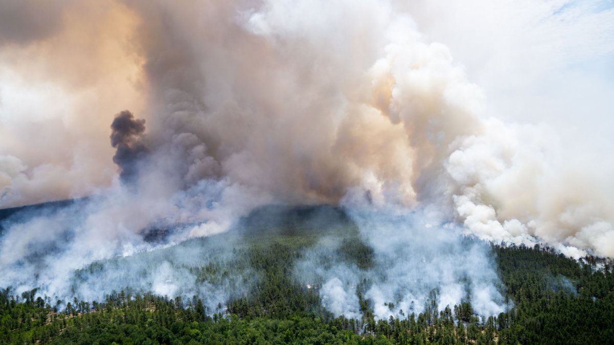 Illegal Campfire Possible Cause of Pine Barrens Wildfire NJ Officials