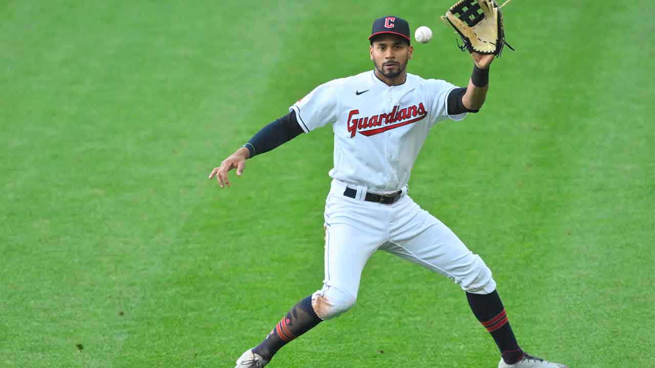baseball info solutions statkeeper